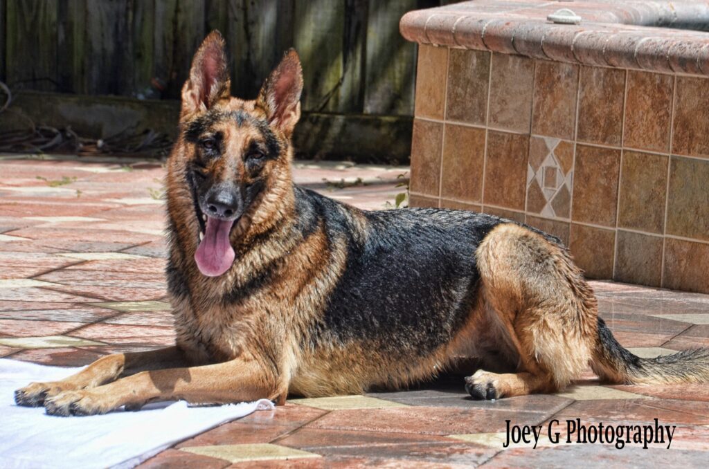 Joey G Photography
